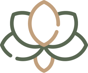 vector.png